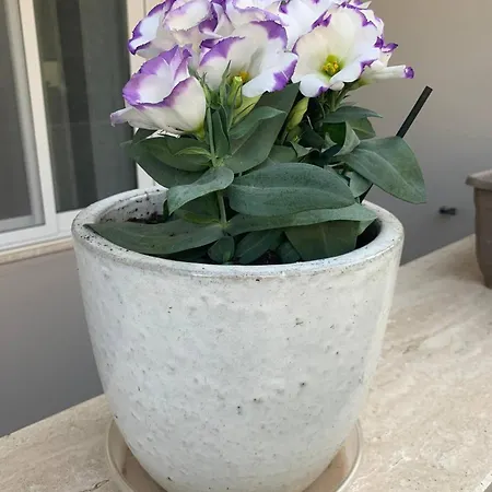 Fl 1 Ta'lonza Luxury With Hot Tub By Homely Lägenhet *