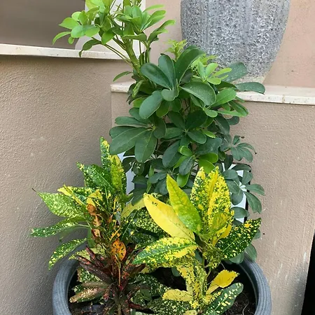 Fl 1 Ta'lonza Luxury With Hot Tub By Homely *