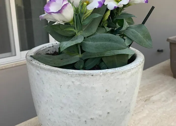 Fl 1 Ta'lonza Luxury With Hot Tub By Homely Апартаменты *