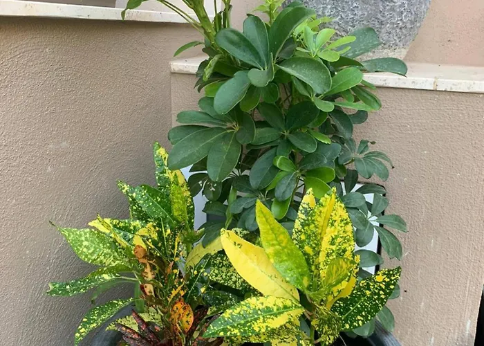 Fl 1 Ta'lonza Luxury With Hot Tub By Homely *